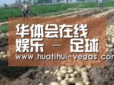 种植基地七(图1)