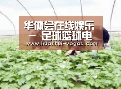 种植基地三