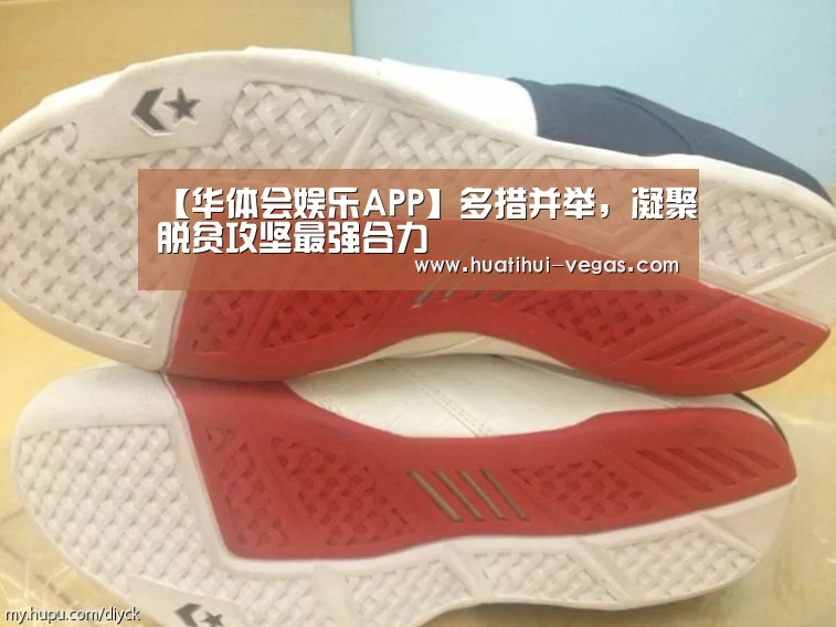 【华体会娱乐APP】多措并举,凝聚脱贫攻坚最强合力(图2) 华体会娱乐
