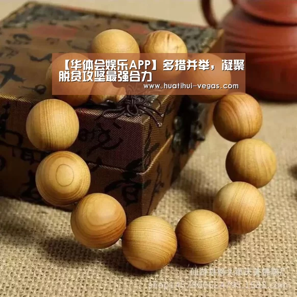 【华体会娱乐APP】多措并举,凝聚脱贫攻坚最强合力(图4) 华体会娱乐APP